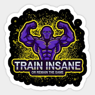 Train Insane or remain the same Gym Sticker